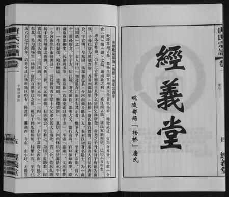 江苏唐氏族谱-唐氏宗谱.pdf电子版插图5