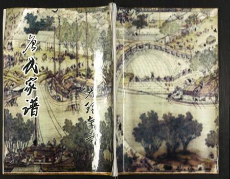 江苏唐氏族谱-唐氏家谱.pdf电子版插图