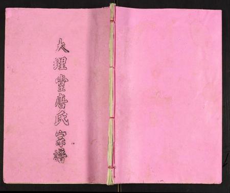江苏唐氏族谱-大理堂唐氏宗谱.pdf电子版插图 江苏唐氏族谱-大理堂唐氏宗谱.pdf电子版插图