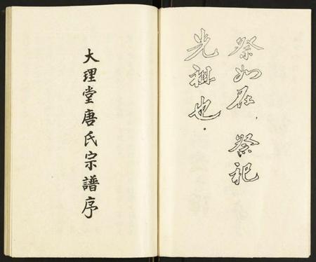 江苏唐氏族谱-大理堂唐氏宗谱.pdf电子版插图4 江苏唐氏族谱-大理堂唐氏宗谱.pdf电子版插图4