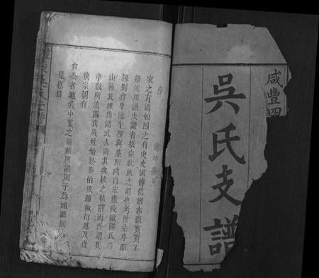 江西吴氏族谱-醴陵吴氏支谱.pdf电子版插图1