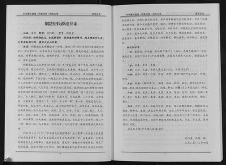 湖北唐氏族谱-中华唐氏通谱荆楚分卷朝佐公世系.pdf电子版插图5