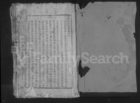 江西伍氏族谱-伍氏大成宗谱 [不分卷].pdf电子版插图1