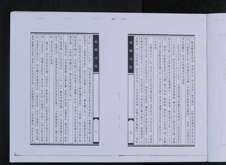 江西习氏族谱-邓州习氏 [全1册].pdf电子版插图4