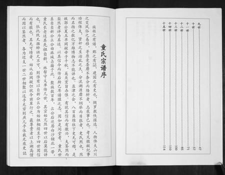 湖北童氏族谱-童氏族谱.pdf电子版插图1