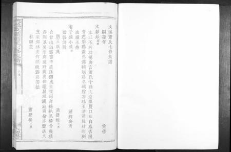 江西萧氏族谱-兴邑文溪萧氏七修族谱[不分卷].pdf电子版插图2