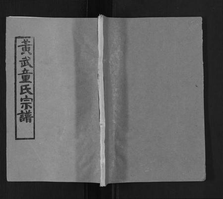 湖北童氏族谱-黄武童氏族谱.pdf电子版插图