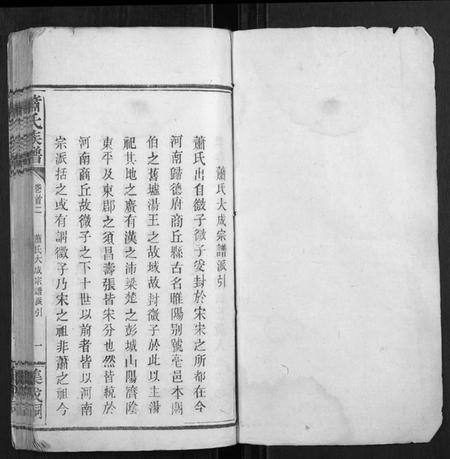 江西萧氏族谱-萧氏族谱.pdf电子版插图1