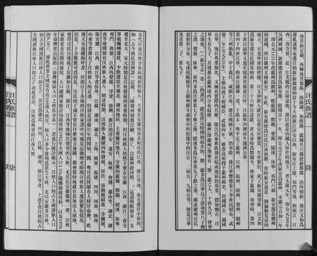 江苏汪氏族谱-汪氏族谱[不分卷].pdf电子版插图4