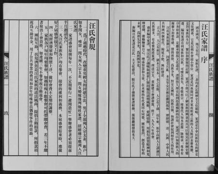 江苏汪氏族谱-汪氏族谱[不分卷].pdf电子版插图5