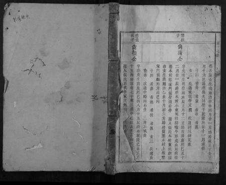 江西谢氏族谱-东山谢氏三修族谱.pdf电子版插图