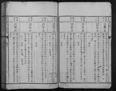 江西谢氏族谱-东山谢氏三修族谱.pdf电子版插图3