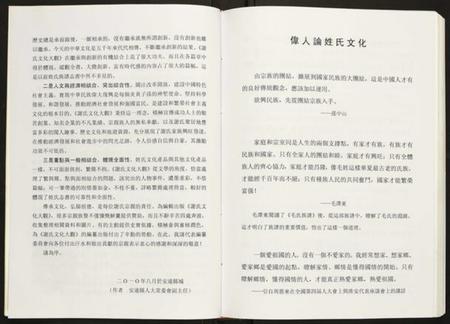 江西谢氏族谱-谢氏文化大观.pdf电子版插图5