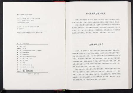中国王氏族谱-中华王氏大成总谱. 第六部.pdf电子版插图2