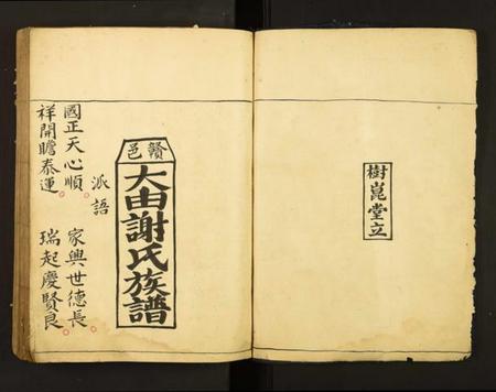 江西谢氏族谱-赣邑大由谢氏族谱.pdf电子版插图1