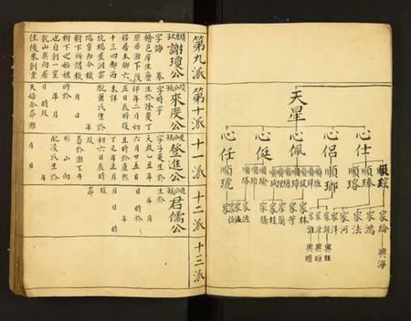 江西谢氏族谱-赣邑大由谢氏族谱.pdf电子版插图4