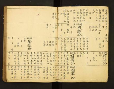 江西谢氏族谱-赣邑大由谢氏族谱.pdf电子版插图5