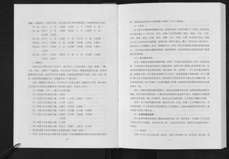 中国王氏族谱-寻源王氏总谱.pdf电子版插图5