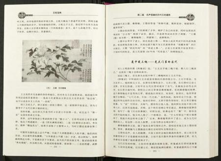 中国王氏族谱-王姓宝典.pdf电子版插图3