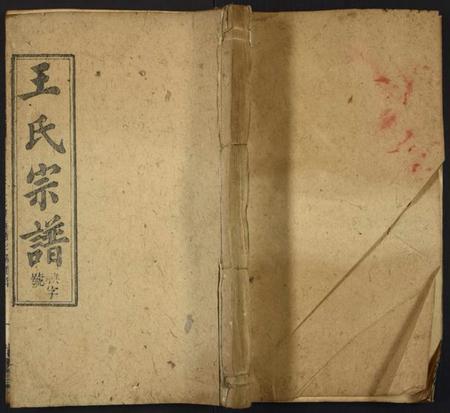 中国王氏族谱-王氏族谱.pdf电子版