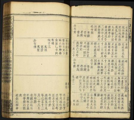 中国王氏族谱-王氏族谱.pdf电子版插图2