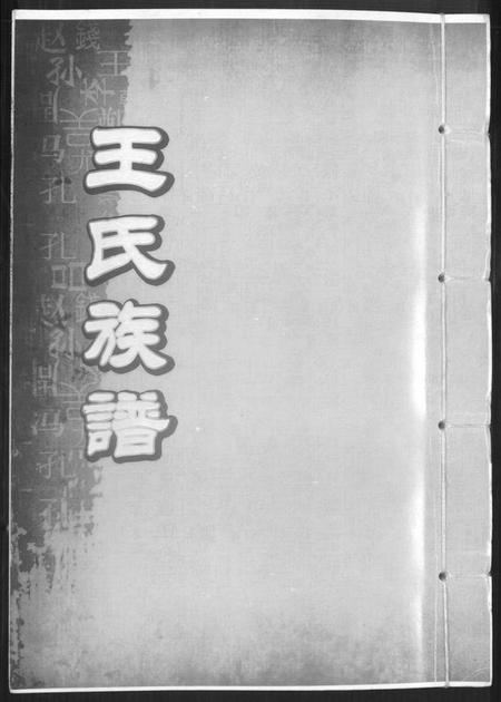 中国王氏族谱-王氏族谱.pdf电子版插图