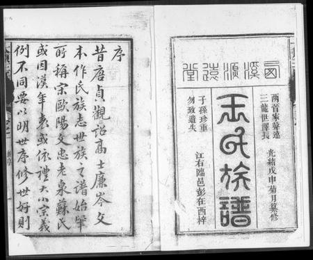 中国王氏族谱-王氏族谱.pdf电子版插图2