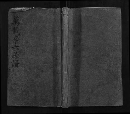 江西辛氏族谱-万载辛氏房谱.pdf电子版