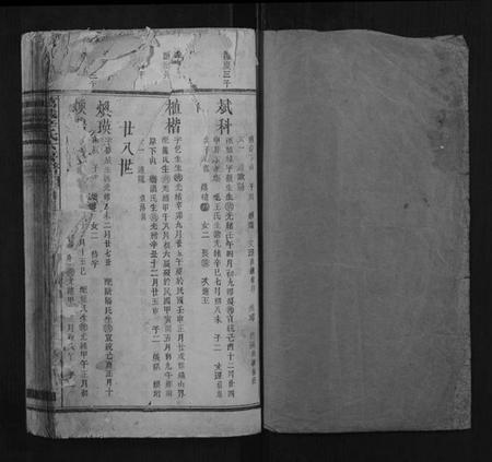 江西辛氏族谱-万载辛氏房谱.pdf电子版插图1