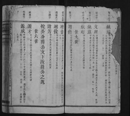 江西辛氏族谱-万载辛氏房谱.pdf电子版插图2