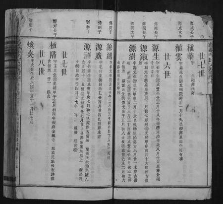 江西辛氏族谱-万载辛氏房谱.pdf电子版插图3