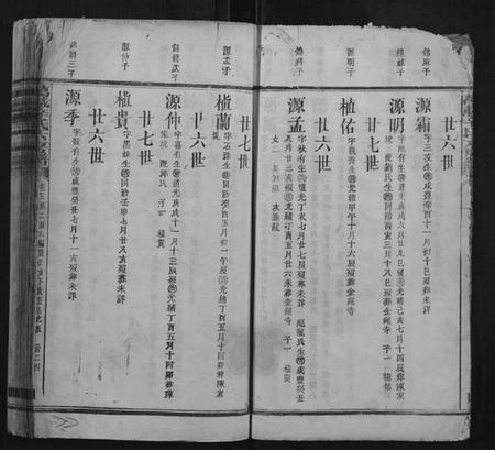 江西辛氏族谱-万载辛氏房谱.pdf电子版插图4