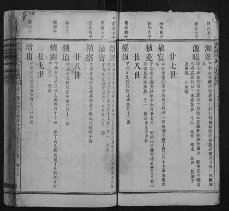 江西辛氏族谱-万载辛氏房谱.pdf电子版插图5