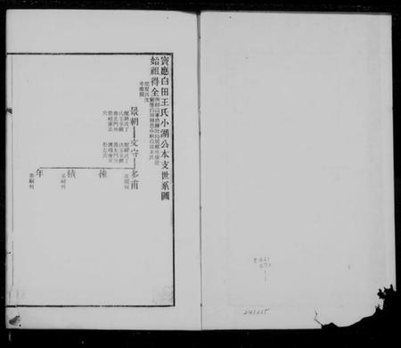江苏王氏族谱-宝应白田王氏小湖公本支世系图.pdf电子版插图