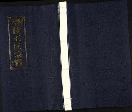 江苏王氏族谱-晋陵王氏宗谱.pdf电子版插图