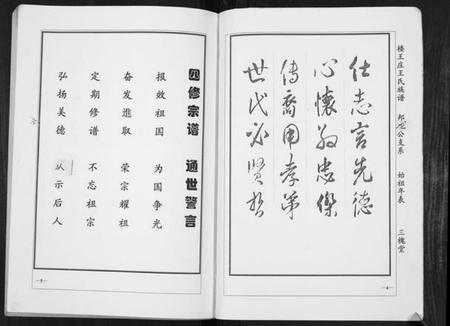 江苏王氏族谱-楼王庄王氏族谱[不分卷].pdf电子版插图3