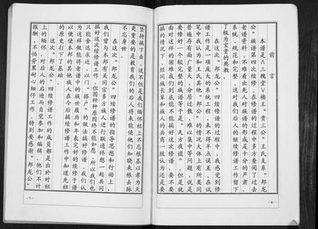 江苏王氏族谱-楼王庄王氏族谱[不分卷].pdf电子版插图4