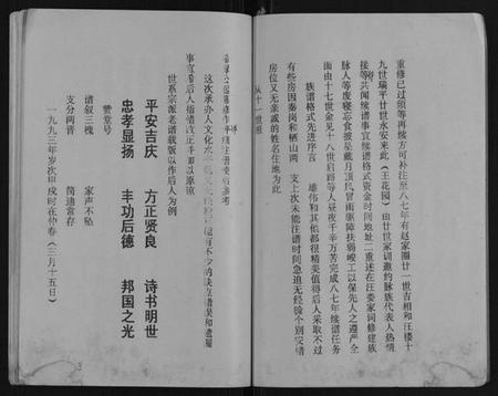 江苏王氏族谱-王氏宗谱.pdf电子版插图4