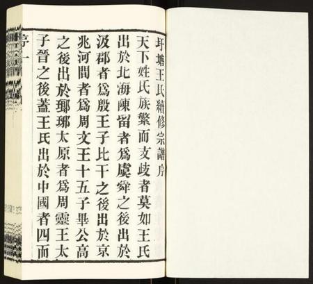 江苏王氏族谱-王氏宗谱.pdf电子版插图1