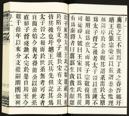江苏王氏族谱-王氏宗谱.pdf电子版插图2