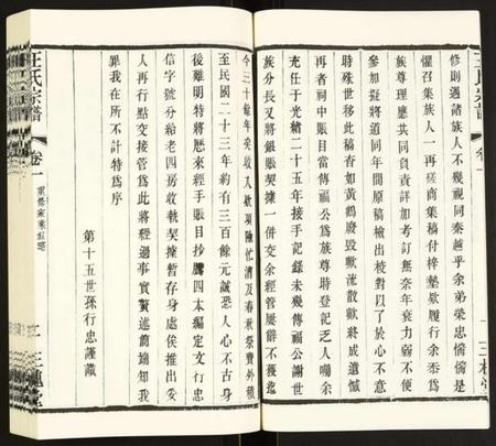 江苏王氏族谱-王氏宗谱.pdf电子版插图5