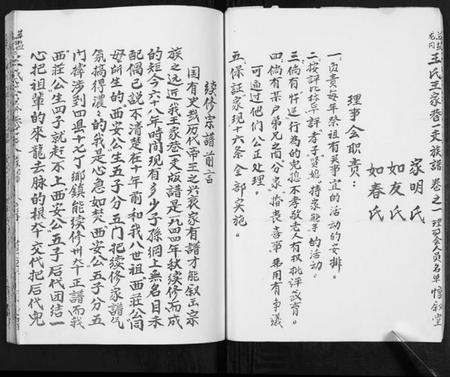 江苏王氏族谱-王氏宗谱[不分卷].pdf电子版插图3