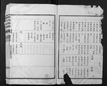 江苏王氏族谱-王氏家乘.pdf电子版插图2 江苏王氏族谱-王氏家乘.pdf电子版插图2
