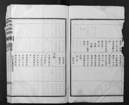 江苏王氏族谱-王氏家乘.pdf电子版插图3 江苏王氏族谱-王氏家乘.pdf电子版插图3