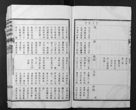 江苏王氏族谱-王氏家乘.pdf电子版插图4 江苏王氏族谱-王氏家乘.pdf电子版插图4