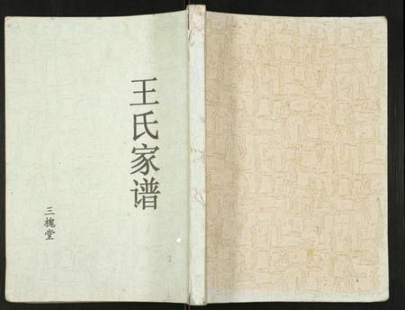 江苏王氏族谱-王氏家谱.pdf电子版插图 江苏王氏族谱-王氏家谱.pdf电子版插图