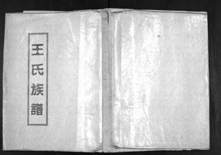江苏王氏族谱-王氏族谱[不分卷].pdf电子版插图