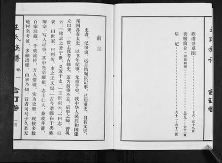 江苏王氏族谱-王氏族谱[不分卷].pdf电子版插图2