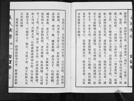 江苏王氏族谱-王氏族谱[不分卷].pdf电子版插图3
