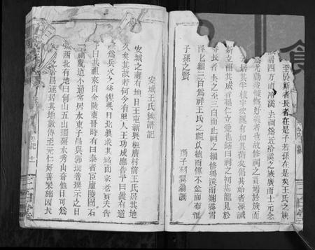 江苏王氏族谱-王氏族谱[不分卷].pdf电子版插图5